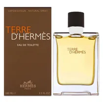 Hermes Terre D Hermes Edt 100ML - Masculino